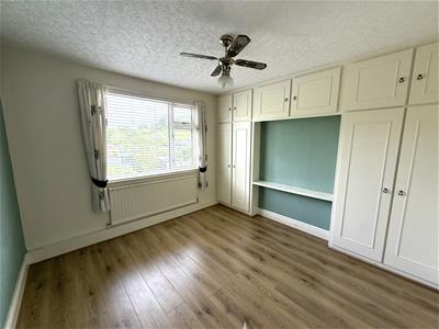 Picture 13